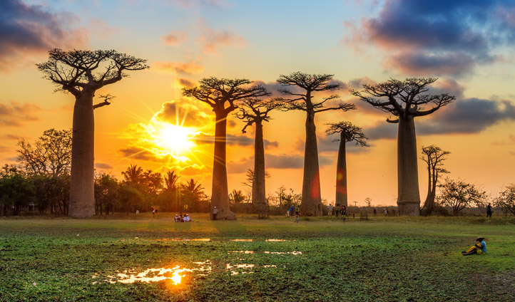 Madagascar