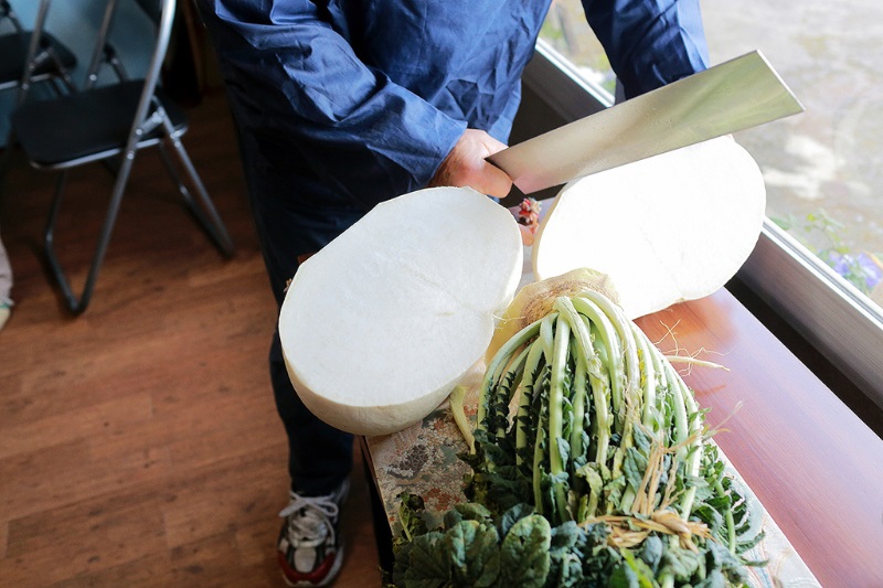  prevent heart disease-‘Monster’ radish 