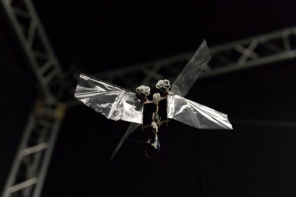 Science Machine Fly Scientists create flying robot that can hover, turn as quick as insect