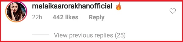 Malaika Arora Arjun Kapoor insta official