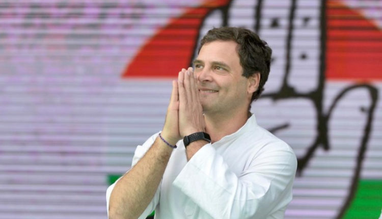 Rahul Gandhi Wayanad Amethi seat