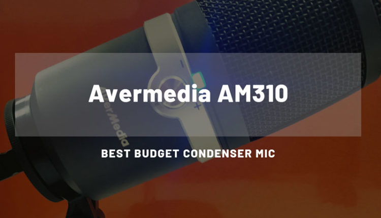 avermedia-am310-review
