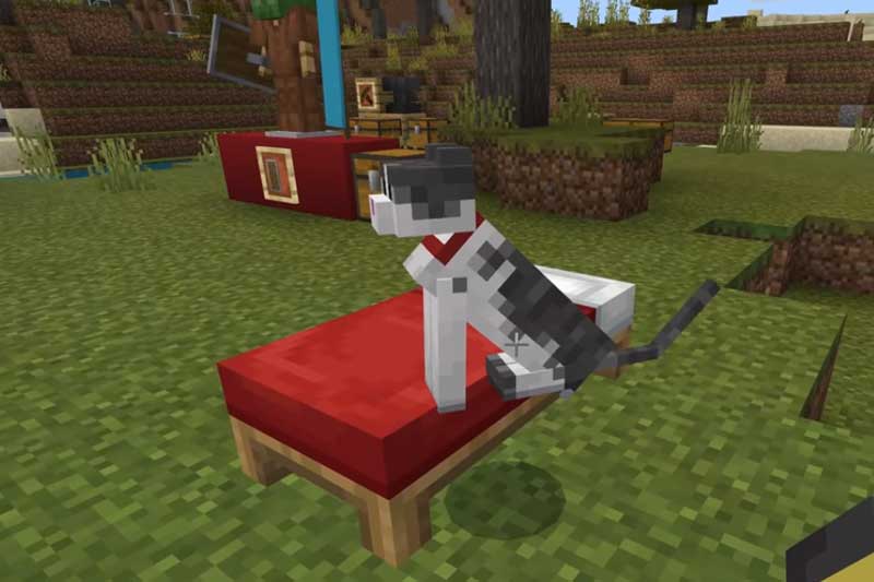 Minecraft Bedrock Update 1 10 Patch Logs New Crossbows Shield Cat And More