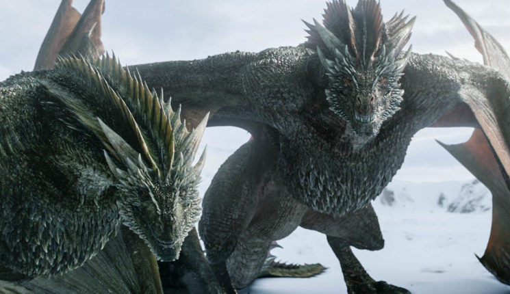 got 8 theory dragon babies