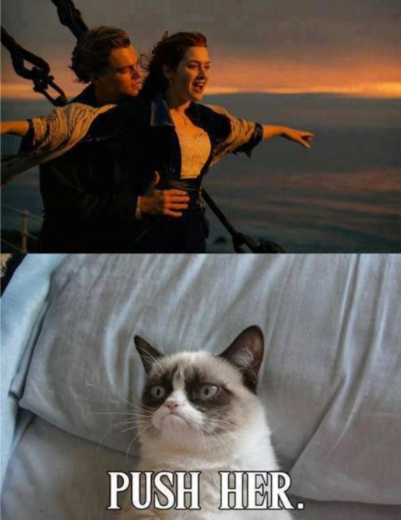 Grumpy Cat