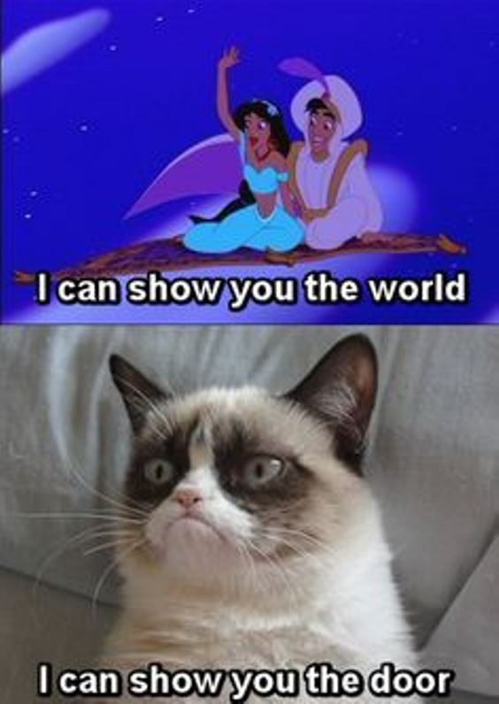 Grumpy Cat