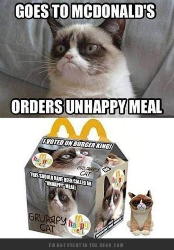 20 Best Grumpy Cat Memes To Convert A Face To A Smiley Face