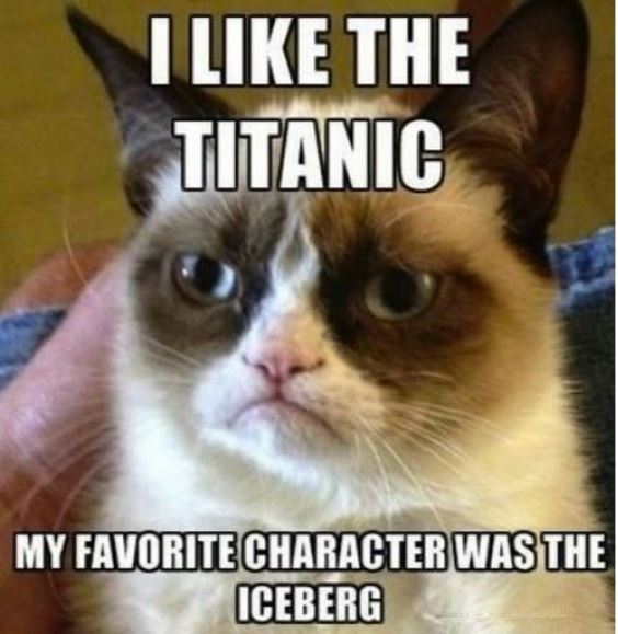 Grumpy Cat