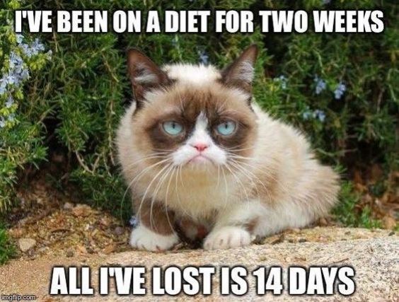 Grumpy Cat