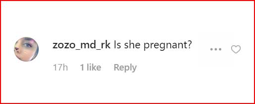 Priyanka pregnancy question