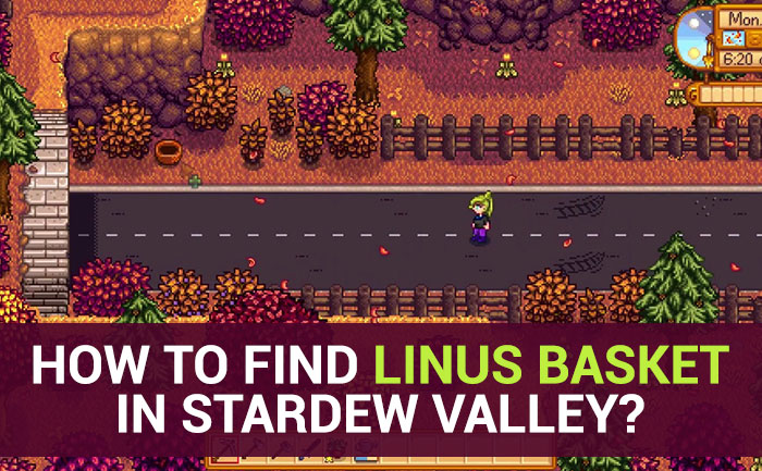 Stardew Valley Guide How Where To Find Linus Basket In Stardew Valley