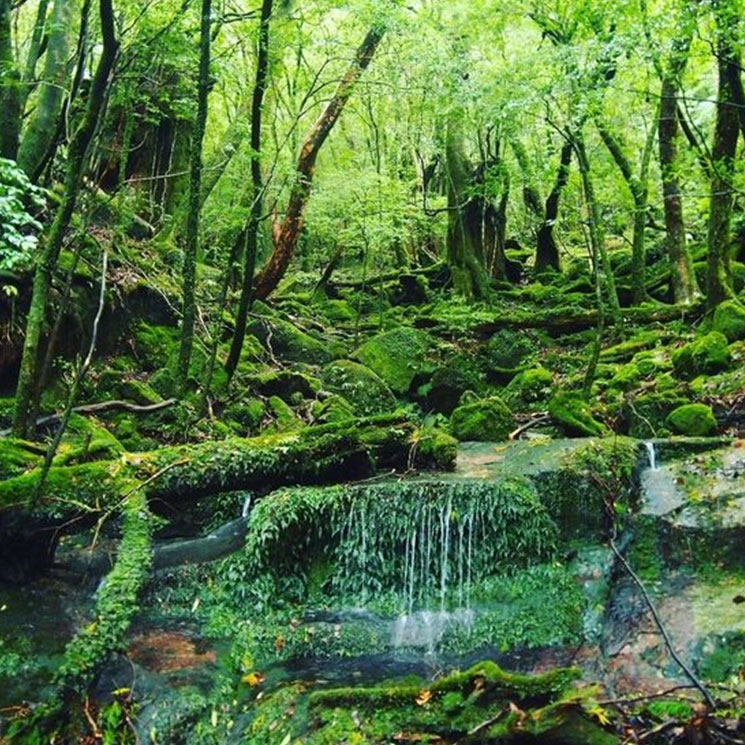 Yakushima