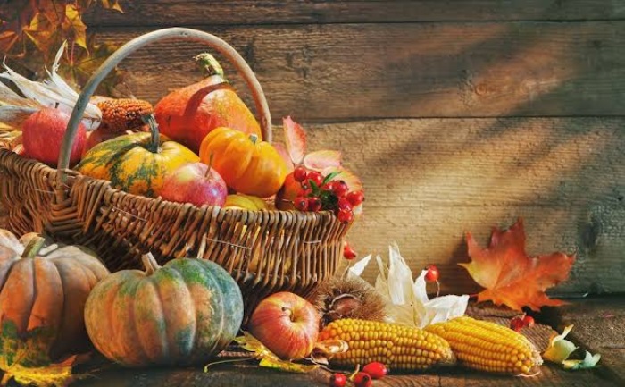 Thanksgiving 2019: Wishes, messages & quotes to wish your beloved one