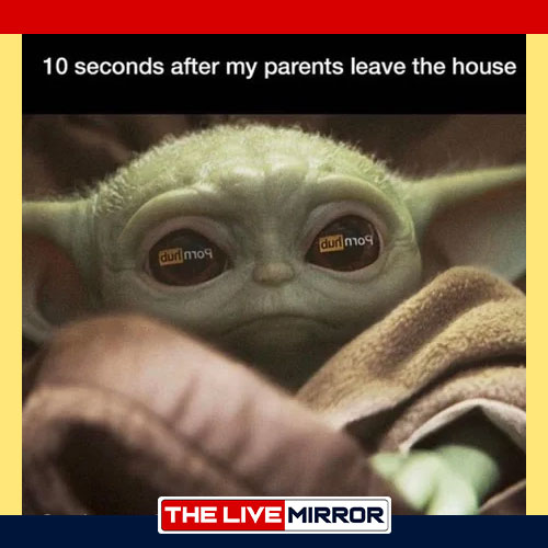 Baby Yoda Memes Best Adorable Funniest Cutest Memes Of Baby Yoda