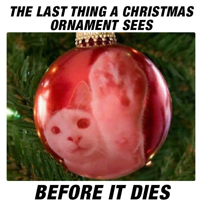 Christmas 2019: 45 hilarious, funny & best Christmas memes to share