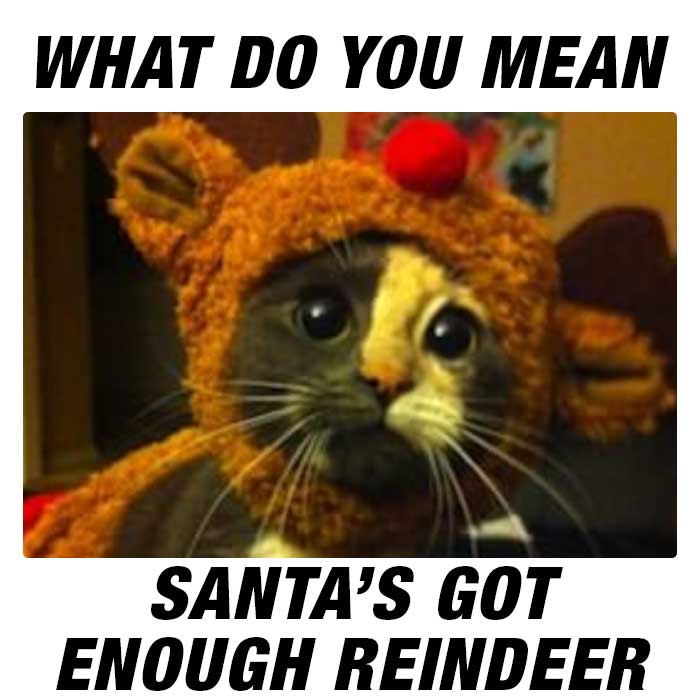 Did you say REINDEER?