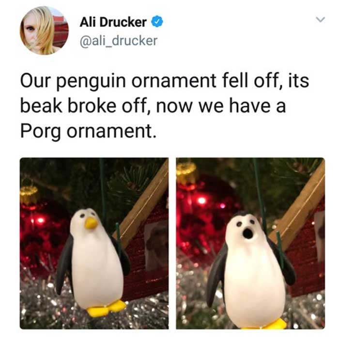 That penguin is more interesting