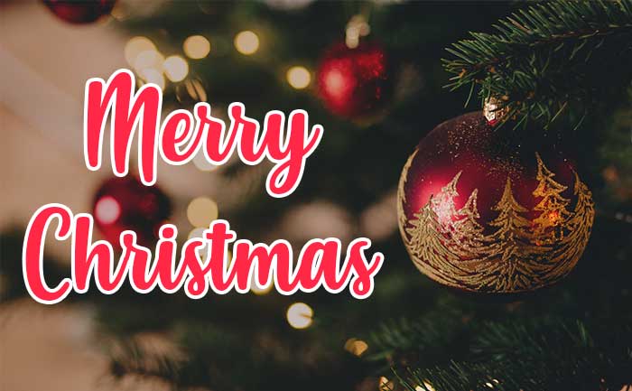 Happy Christmas Day 2019: Merry Christmas Wishes, Quotes, Greetings &amp;  Messages To Send Your Loved Ones