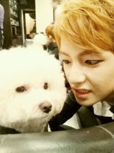 BTS V Pet
