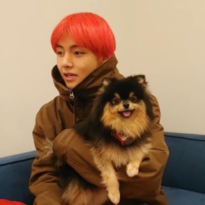 what kind of dog does v from bts have