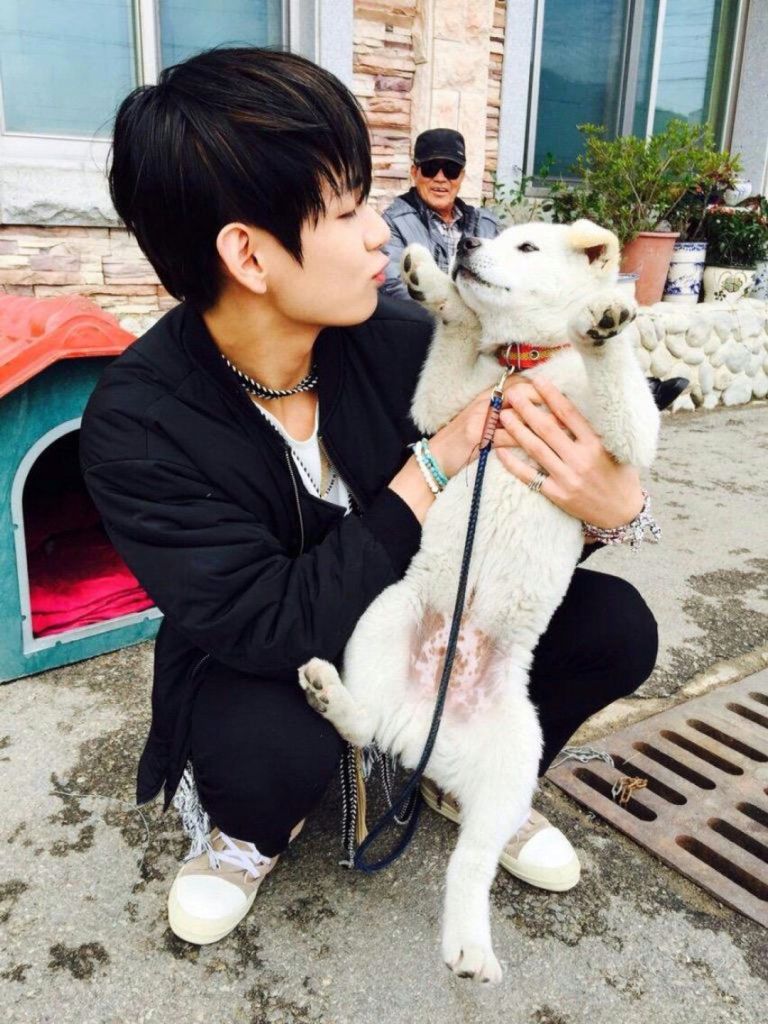 BTS Members And Their Adorable Furry Pets