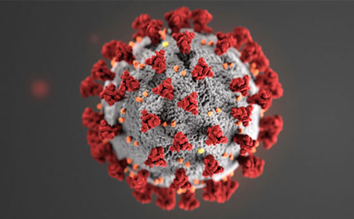 Coronavirus Update