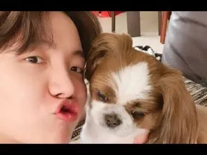 BTS Members And Their Adorable Furry Pets