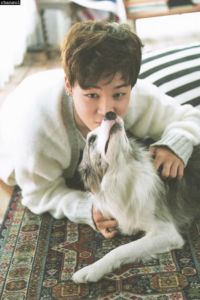 Jimin Pet 