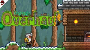 best terraria mods reddit 2019