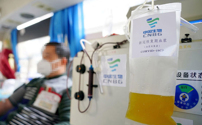 covid 19 patient recovers plasma therapy