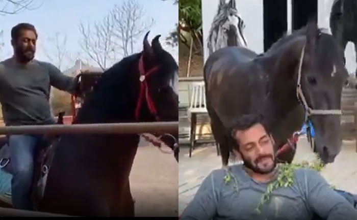 salman Khan farmhouse _TLM