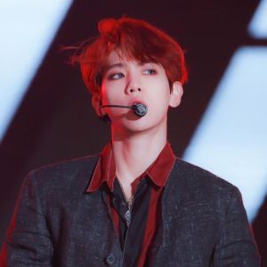 Baekhyun (EXO) Red Hiarcolor