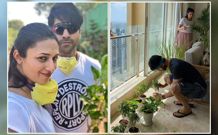 Divyanka Tripathi and Vivek Dahiya Quarantine Planting