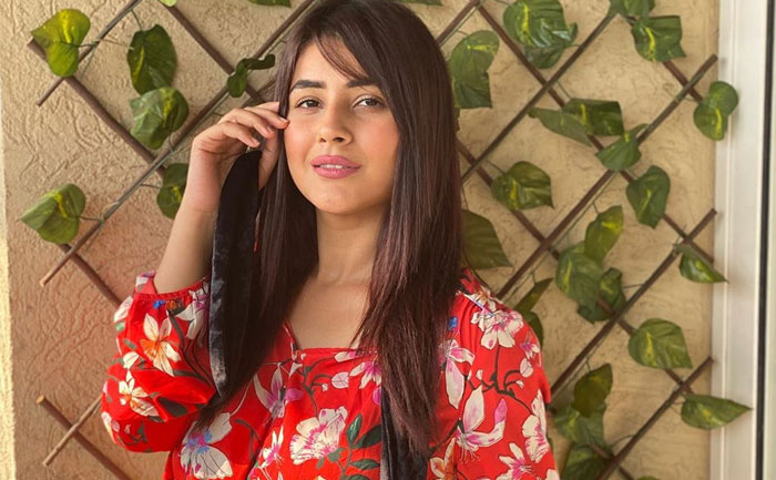 'Bigg Boss 13' contestant Shehnaaz Gill opens up on her Bollywood plans