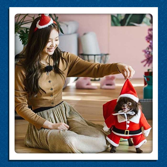 Blackpink-Jeannie K-Pop idols pets