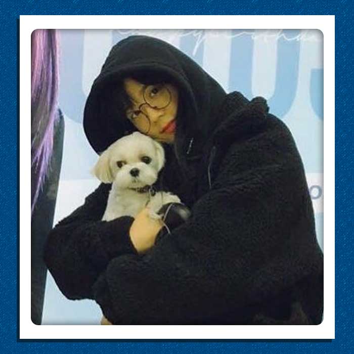 Blackpink Jisoo K-Pop idols pets