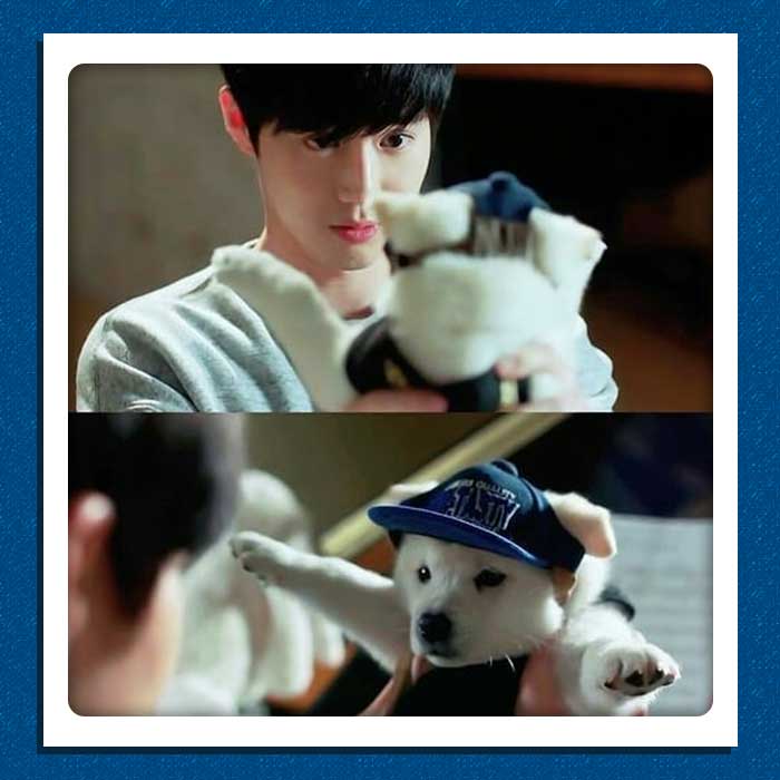 EXO-Suho K-pop idols pets
