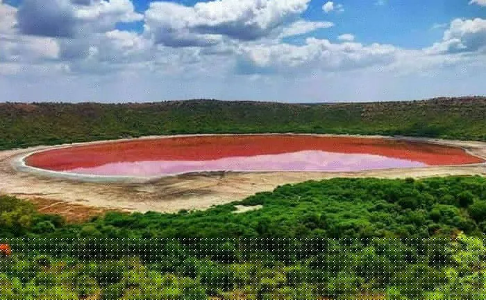 lonar lake turns pink