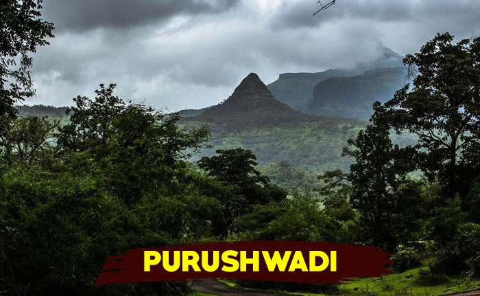 maharashtra purushwadi