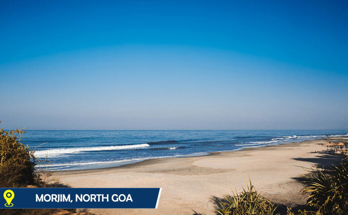 Indian Beaches 3 TLM