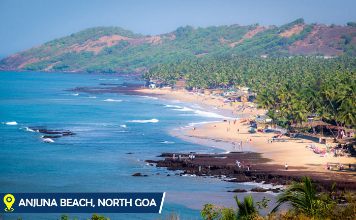 Indian Beaches 6 TLM