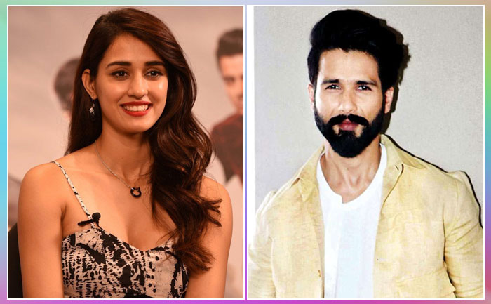 Shahid Kapoor and Disha Patani-Shashank Khaitan