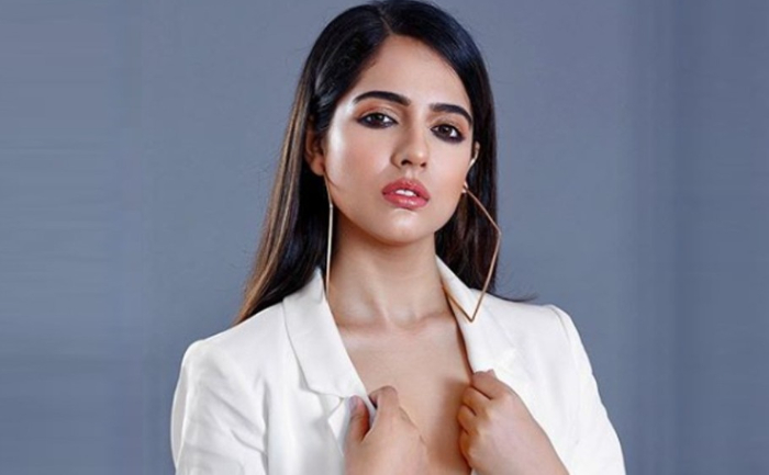 Malvi Malhotra Gets Stabbed