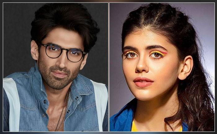 Aditya Roy Kapur and Sanjana Sanghi