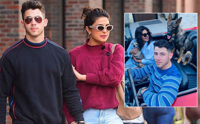 priyanka chopra reunire nick jonas pet fam