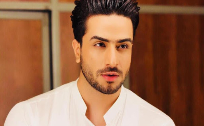 Ali Goni -Bigg Boss 14
