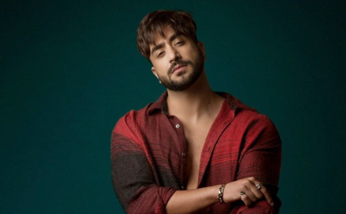 Aly Goni-Bigg Boss 14 Evictions