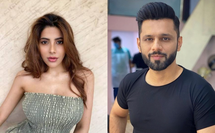 Nikki Tamboli and Rahul Vaidya Evicted Bigg Boss 14