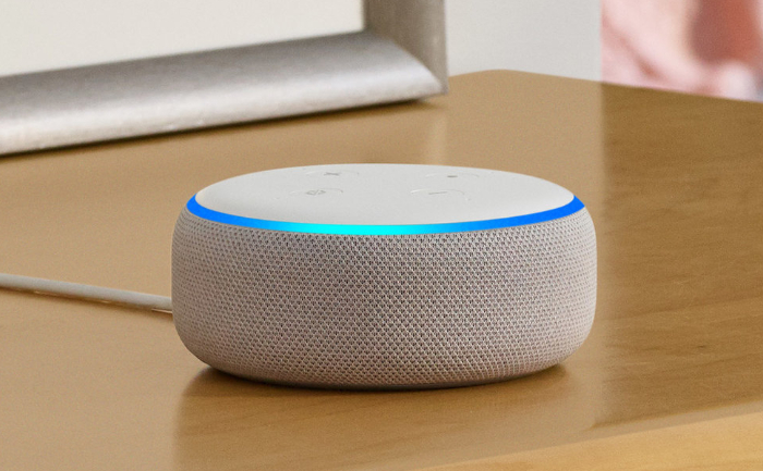 Amazon Alexa Indian I Love You