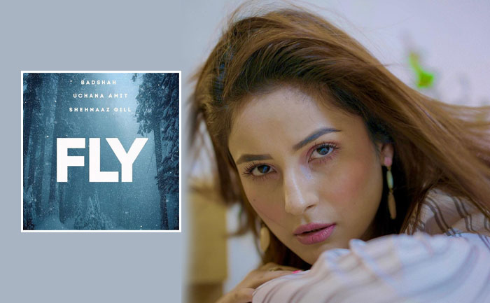 Shehnaaz Gill, Badshah, FLY, First Look
